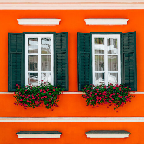 windows with flowers Igor Vitomirov