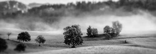 misty landscape#1 par Igor Vitomirov, Photographie en vente sur Singulart