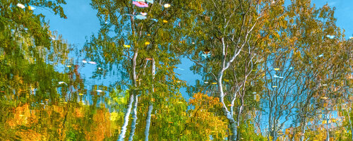 autumn forest reflection#12 par Igor Vitomirov, Photographie en vente sur Singulart
