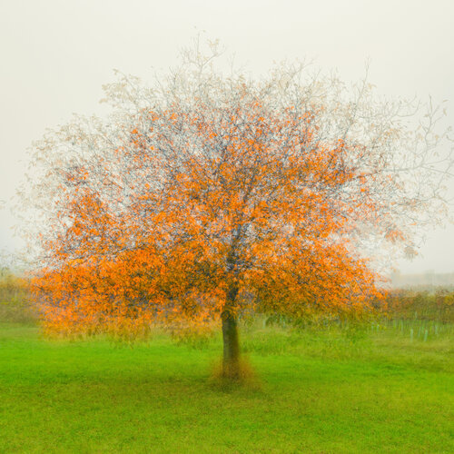 #1998 par Igor Vitomirov, Photographie en vente sur Singulart