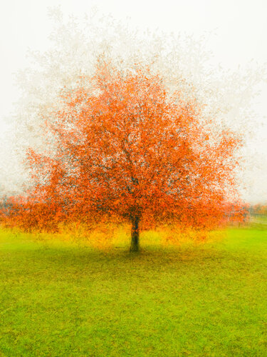 #1992 par Igor Vitomirov, Photographie en vente sur Singulart