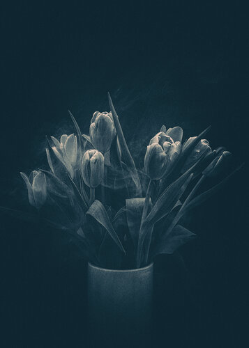 flowers and smoke par Igor Vitomirov, Photographie en vente sur Singulart