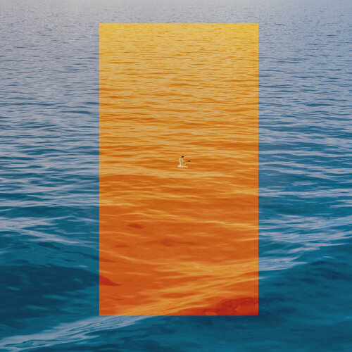 seagull and orange de Igor Vitomirov, Fotografía a la venta en Singulart
