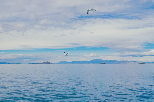 seaview de Igor Vitomirov, Fotografía a la venta en Singulart