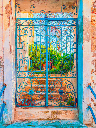 garden par Igor Vitomirov, Photographie en vente sur Singulart