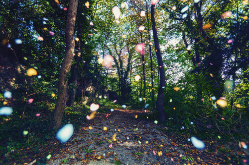 Fragments#10 de Igor Vitomirov, Fotografía a la venta en Singulart