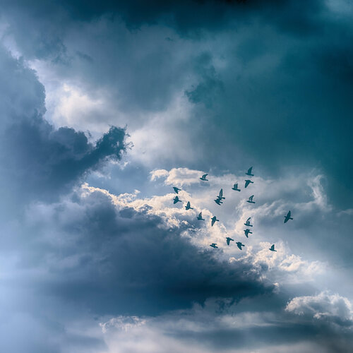 into the light by Igor Vitomirov, 사진 for Sale on Singulart