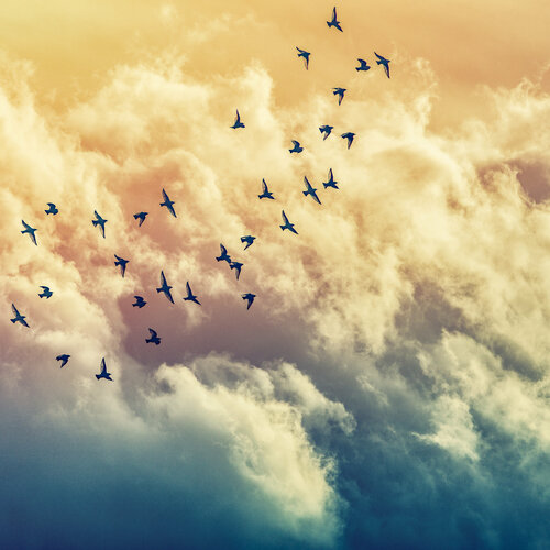 escape de Igor Vitomirov, Fotografía a la venta en Singulart