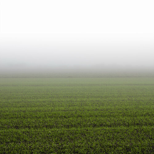 Mist von Igor Vitomirov, Fotografie kaufen auf Singulart