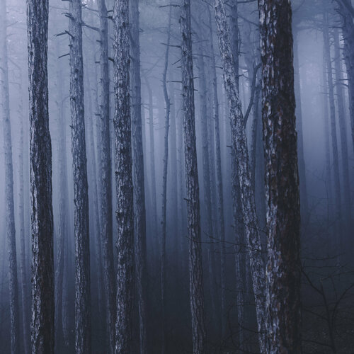 Mist#4 Igor Vitomirov