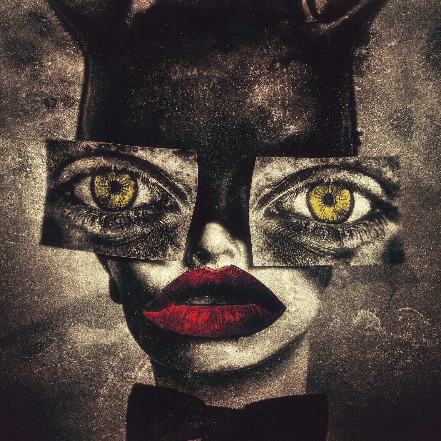 i.rabbit#5 Igor Vitomirov