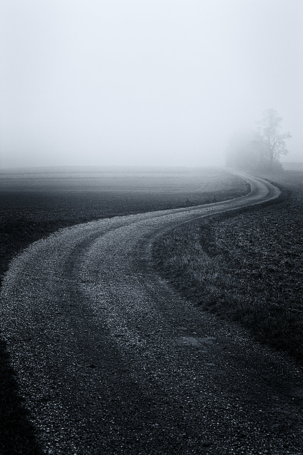 field road in the mist Igor Vitomirov