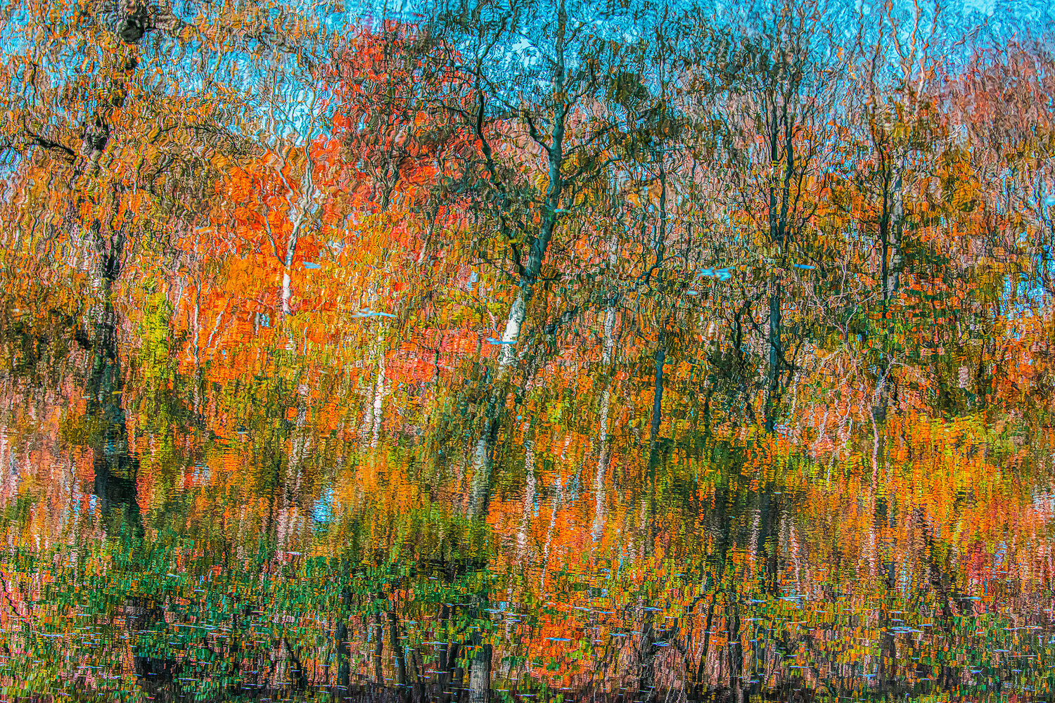 autumn forest reflection#6 Igor Vitomirov