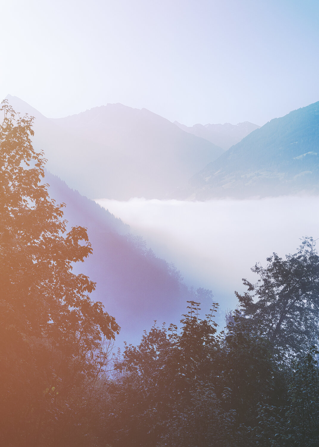 misty mountains Igor Vitomirov