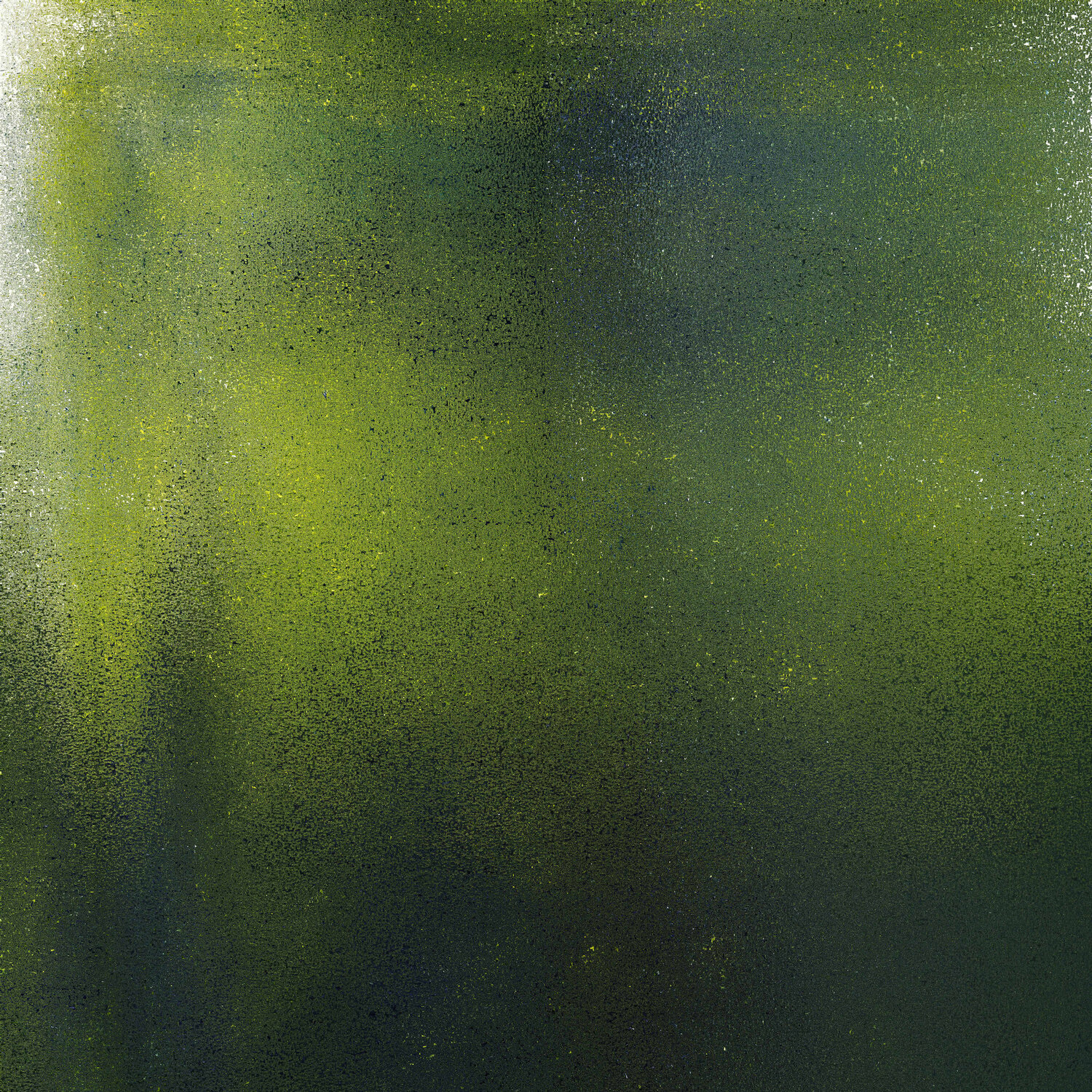 green mind forest Igor Vitomirov