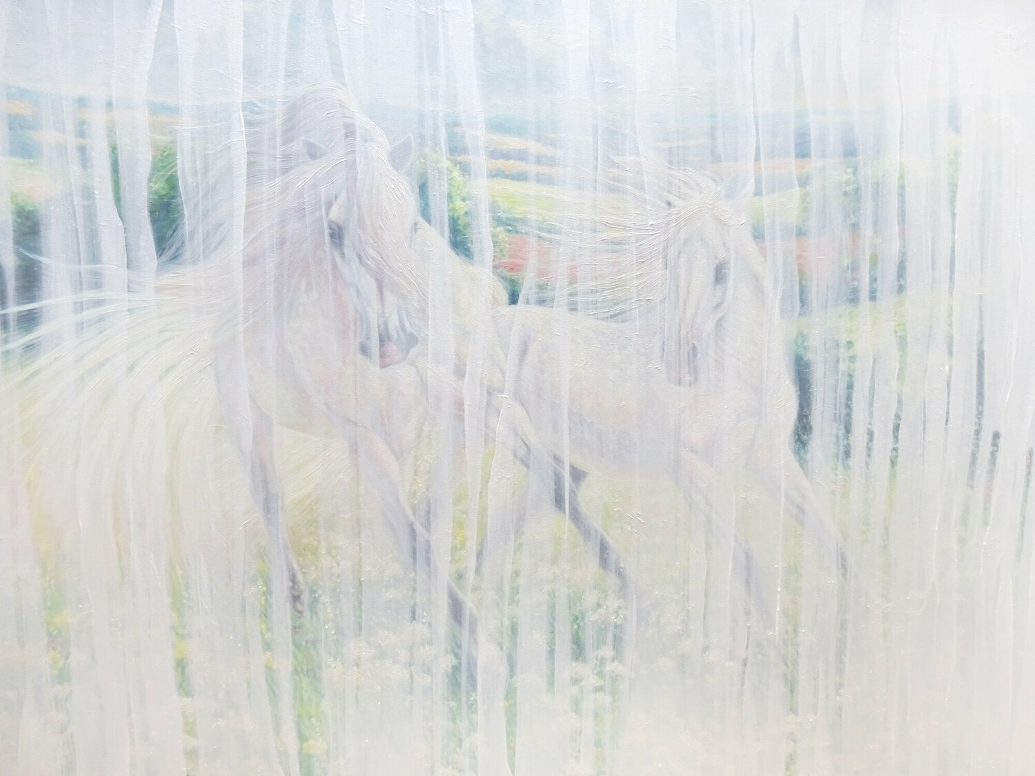 White Horse Echoes Gill Bustamante