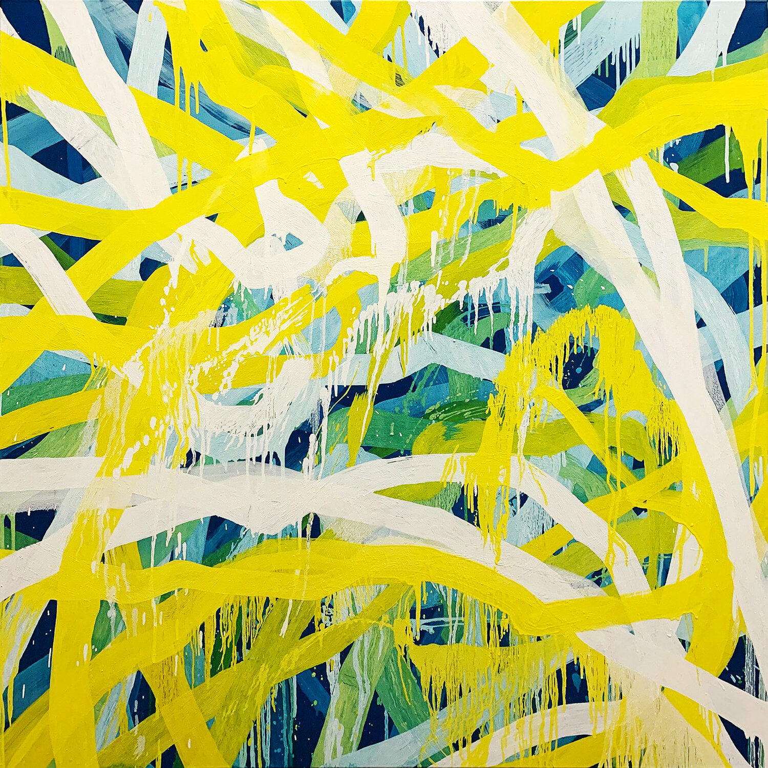 Lucid 3 Lacey Kim