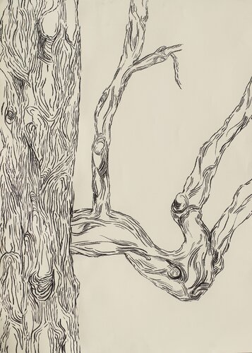 ohne Titel par Donata Oppermann, Dessin en vente sur Singulart