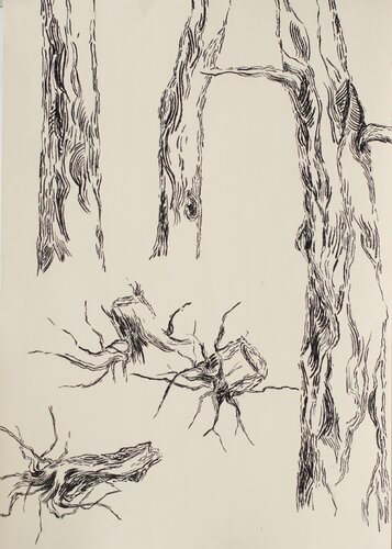 ohne Titel von Donata Oppermann, Zeichnungen kaufen auf Singulart