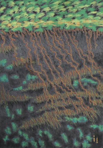 Maillage du Bayou - 31,9 X 41,9 encadré by Ines Soavi, 종이 for Sale on Singulart