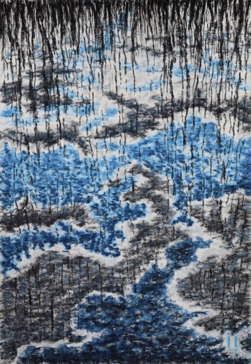 Marécage en Miroir - 31,9 X 41,9 encadré Ines Soavi