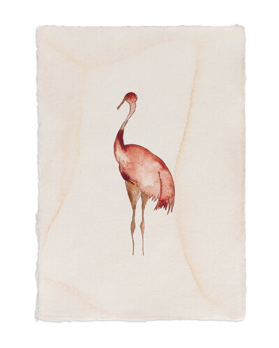 Flamingo de Javeria Khan, Pintura a la venta en Singulart