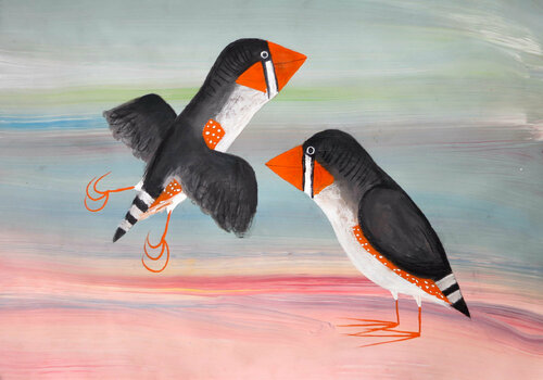 Zebra Finch 1 van John Graham, Werk op papier te koop op Singulart