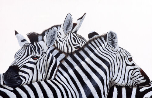 The Unbroken Bond by Artist Bathmawathy, Painting for Sale on Singulart