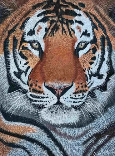 Pride par Artist Bathmawathy, Dessin en vente sur Singulart