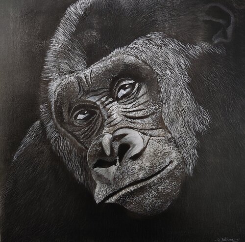 Day Dreamer by Artist Bathmawathy, 素描 for Sale on Singulart