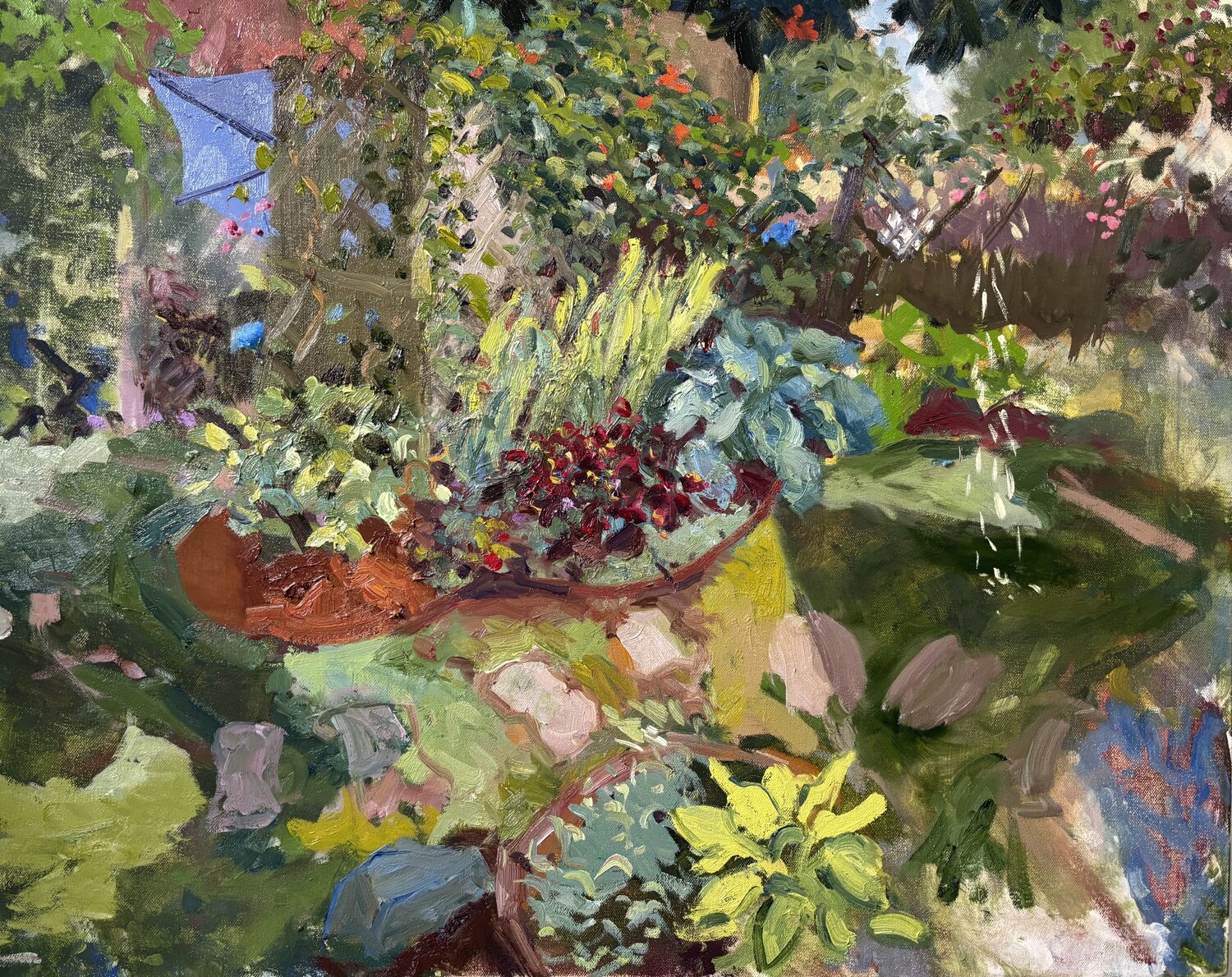 Magnolia Shower Gillian Wainwright