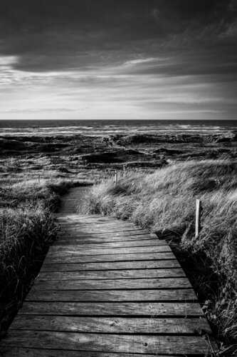 Endless Shore di Francisco Prieto Montesdeoca, Fotografia in vendita su Singulart