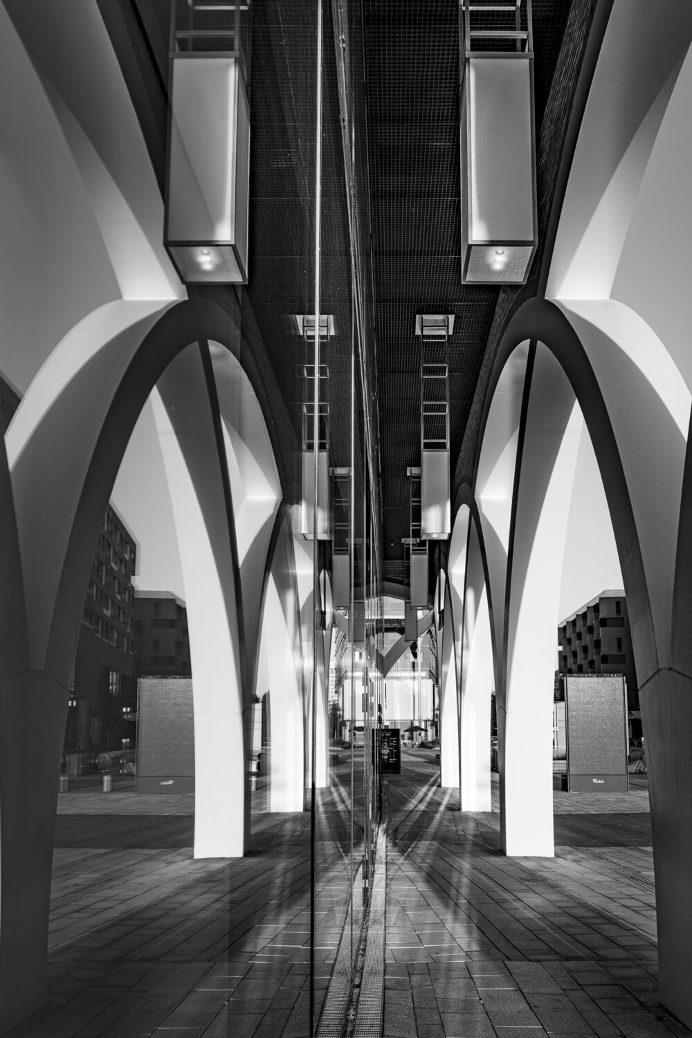 Symmetrie in Motion Francisco Prieto Montesdeoca