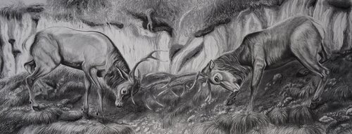 Hirschkampf de Gregor Dörig, Dibujo a la venta en Singulart