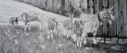 Geissen am kühlen Schattigen Platz Gregor Dörig