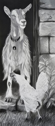 Toggenburger Geis mit Huhn im Stall von Gregor Dörig, Zeichnungen kaufen auf Singulart