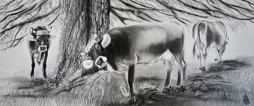 Kuhwellness im Schatten van Gregor Dörig, Tekening te koop op Singulart