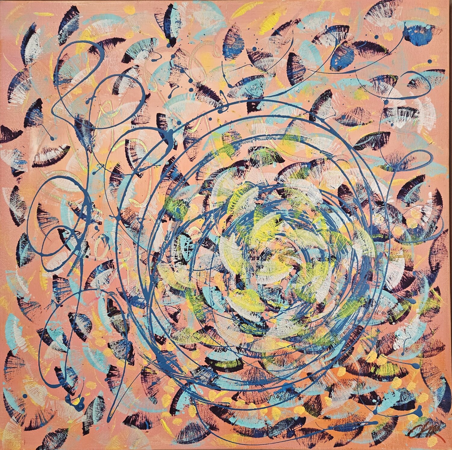 Butterflies In Miami Christine Rechnitzer