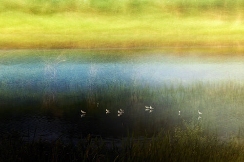 Between water and the sky von Jiri Hrebicek, Digital kaufen auf Singulart