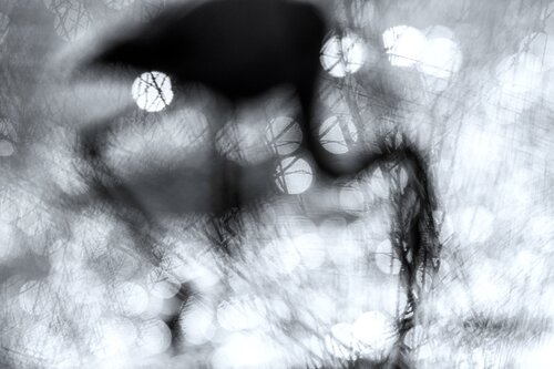 Fata Morgana von Jiri Hrebicek, Digital kaufen auf Singulart