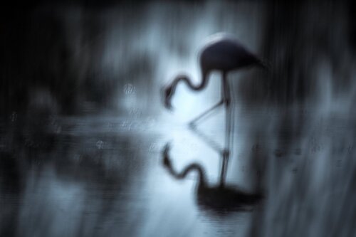 The Mirror von Jiri Hrebicek, Digital kaufen auf Singulart