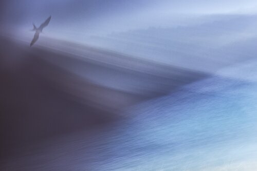 Nevermore de Jiri Hrebicek, Digital a la venta en Singulart