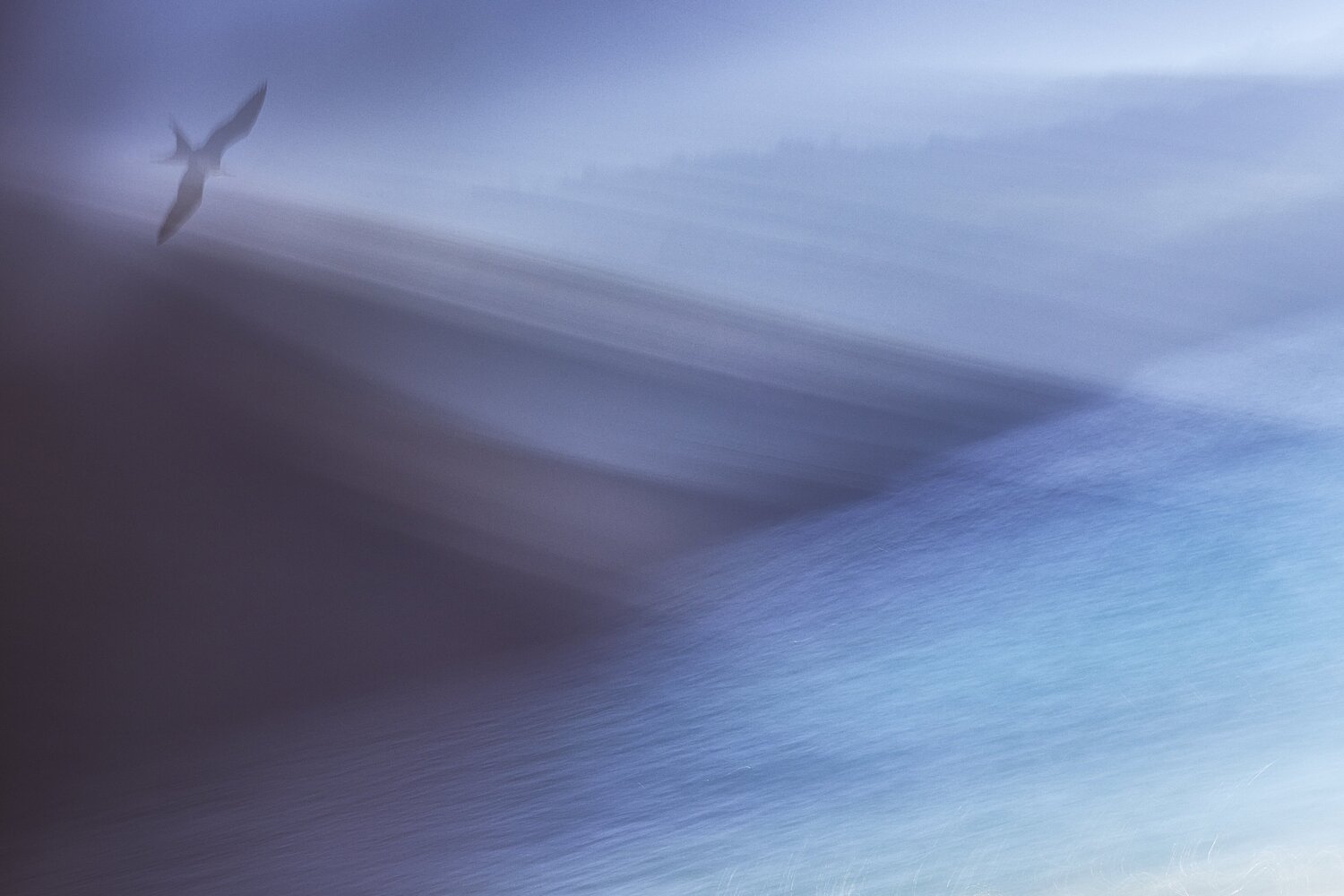 Nevermore Jiri Hrebicek