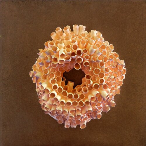 Porosité Partagée / Shared Porosity by Asmae Laraqui, Sculpture for Sale on Singulart