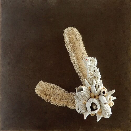 Hybridation sensible / Sensitive Hybridization di Asmae Laraqui, Scultura in vendita su Singulart