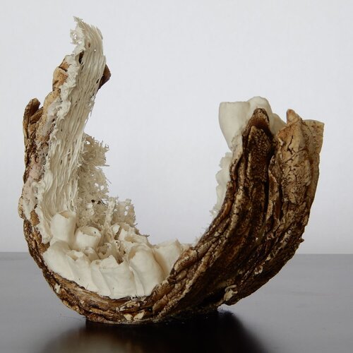 Coexistence en devenir / Emerging Coexistence von Asmae Laraqui, Skulptur kaufen auf Singulart