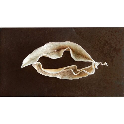 Écho de feuille / Leaf Echo by Asmae Laraqui, Sculpture for Sale on Singulart