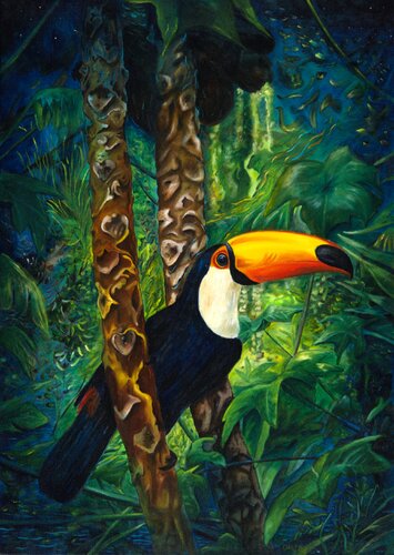 Tucan van Olaf Plantener, Schilderij te koop op Singulart