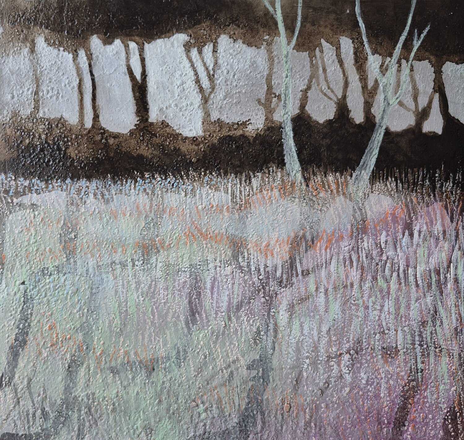 Meadow landscapes 02 Tomáš Holub