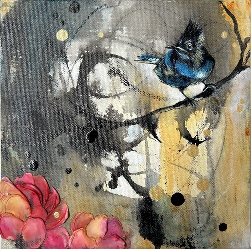 Steller's jay on a Perch Gayatri Yelegaonkar